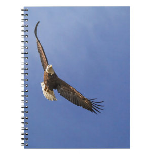 Soaring Bald Eagle Notitieboek