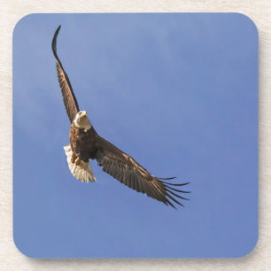 Soaring Bald Eagle Onderzetter