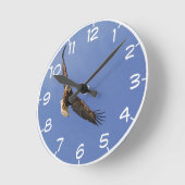Soaring Bald Eagle Ronde Klok (Hoek)