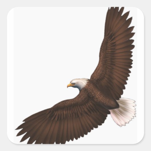 Soaring Bald Eagle Vierkante Sticker (Voorkant)
