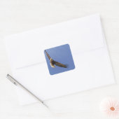 Soaring Bald Eagle Vierkante Sticker (Envelop)