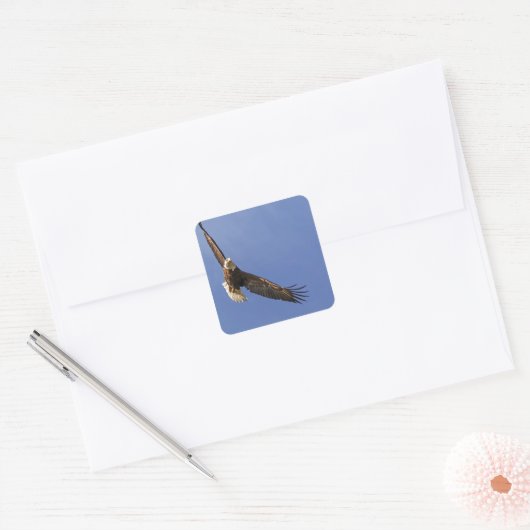 Soaring Bald Eagle Vierkante Sticker (Envelop)