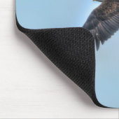 Soaring Bald Eagle Wildife Foto 4 Muismat (Hoek)