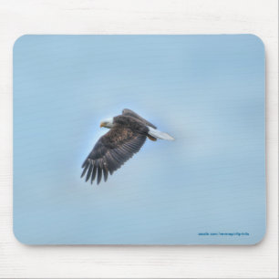 Soaring Bald Eagle Wildife Foto 4 Muismat