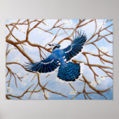 Soaring Blue Jay Poster (Voorkant)