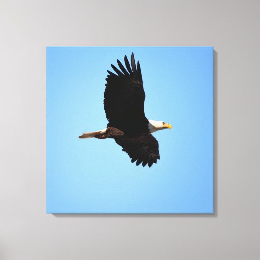 Soaring Eagle Canvas Afdruk (Voorkant)