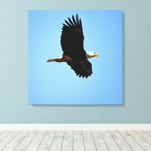 Soaring Eagle Canvas Afdruk (Insitu (Houten vloer))