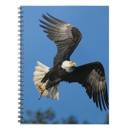 Soaring Eagle Notitieboek (Voorkant)