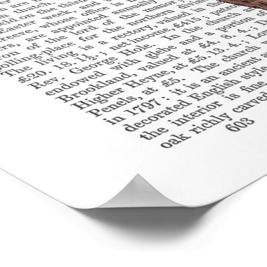 Soaring Pig Poster (Hoek)