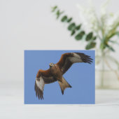 Soaring Red Kite Briefkaart (Staand voorkant)