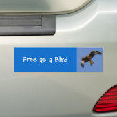 Soaring Red Kite Bumpersticker (Op auto)