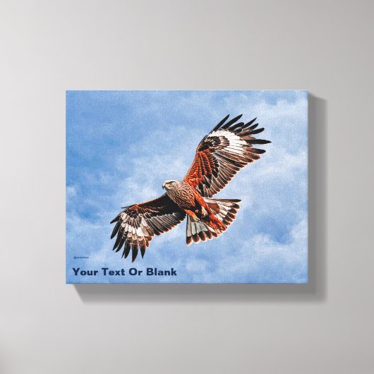 Soaring Red Kite Canvas Afdruk (Voorkant)