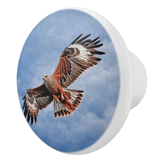 Soaring Red Kite Keramische Knop (Rechts)