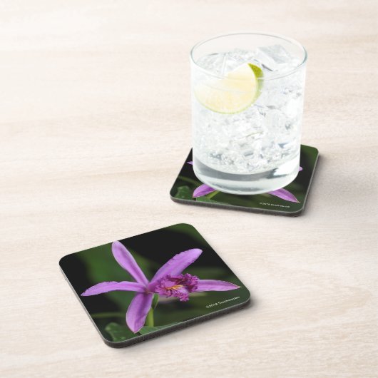 Sobralia Bouchei Bier Onderzetter (Rechterzijde)