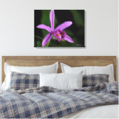 Sobralia Bouchei Canvas Afdruk (Insitu (Slaapkamer))