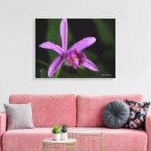 Sobralia Bouchei Canvas Afdruk (Insitu (Woonkamer))