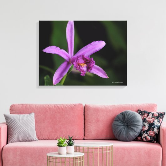 Sobralia Bouchei Canvas Afdruk (Insitu (Woonkamer))