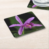 Sobralia Bouchei Kartonnen Onderzetters (Schuin)