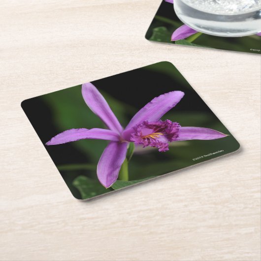 Sobralia Bouchei Kartonnen Onderzetters (Schuin)