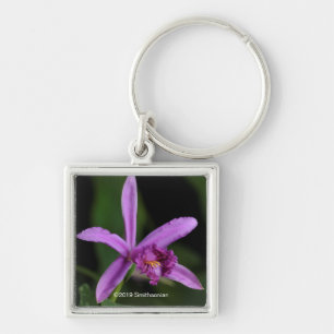 Sobralia Bouchei Sleutelhanger