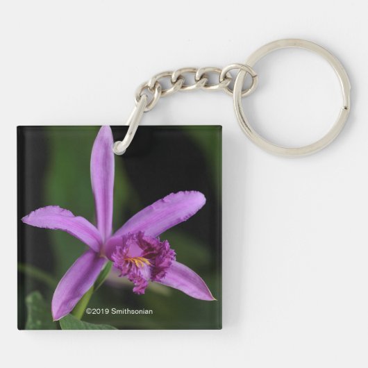 Sobralia Bouchei Sleutelhanger (Achterkant)