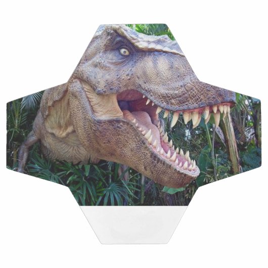 Soccer Ball Cute Dinosaur Voetbal (Enkel)