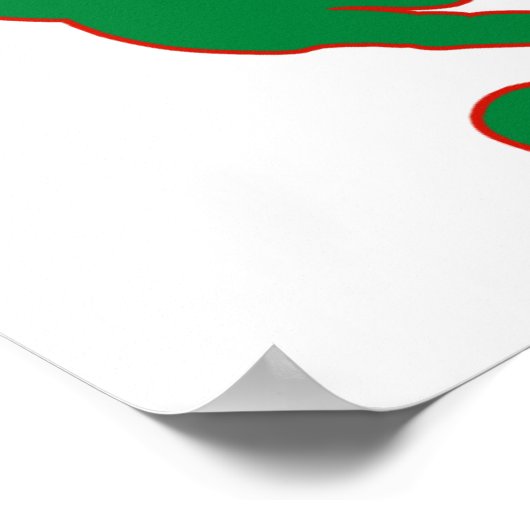 Soccer Iran Poster (Hoek)