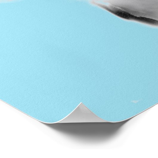 Soccer Kick Poster (Hoek)