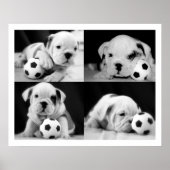 "Soccer Puppies" English Bulldog Collage Poster (Voorkant)