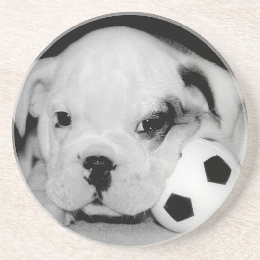 "Soccer Puppy" English Bulldog Zandsteen Onderzetter (Voorkant)