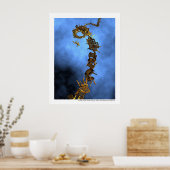 Sociaal klimmen - Echelle sociale Poster (Keuken)