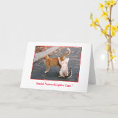 Sociaal Voorzien van een netwerk voor de Spatie Kaart (Gele Bloem)