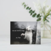 Social Distancing Kitten Briefkaart (Staand voorkant)