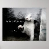 Social Distancing Kitten Poster (Voorkant)