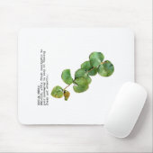 Sociale media ProTip: Eucalyptus Muismat (Met muis)