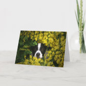 Sociale vervorming Corona virus dat je mist Kaart (Voorkant)