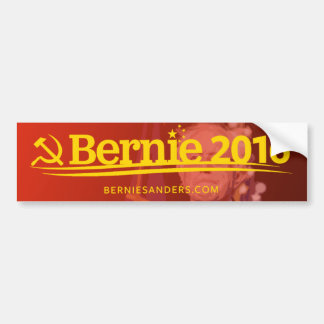 Socialistische Sanders Stickers