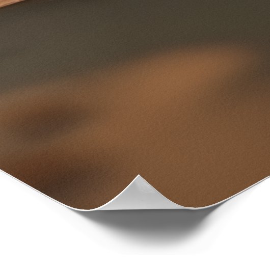 Sock Hop Eekhoorns Poster (Hoek)