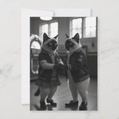 Sock Hop Katten (Voorkant)