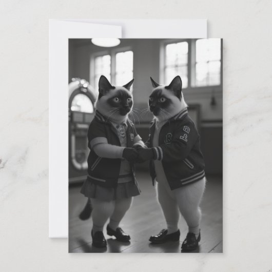 Sock Hop Katten (Voorkant)