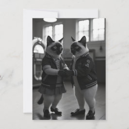 Sock Hop Katten