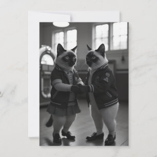 Sock Hop Katten