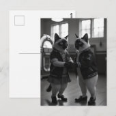 Sock Hop Katten Briefkaart (Voorkant / Achterkant)