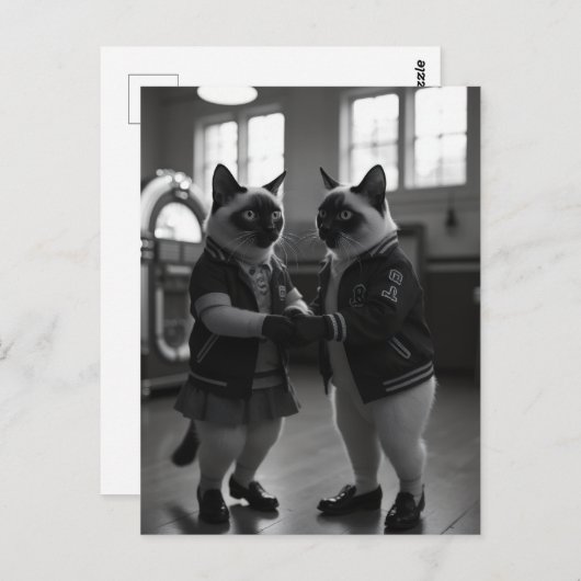 Sock Hop Katten Briefkaart (Voorkant / Achterkant)