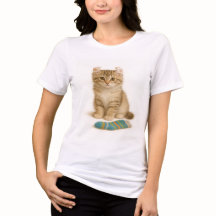 Sock It To Me beroemd gemaakt door American Curl K