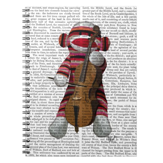 Sock Monkey en Cello Notitieboek (Voorkant)