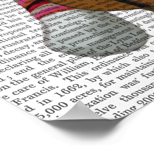 Sock Monkey en Cello Poster (Hoek)