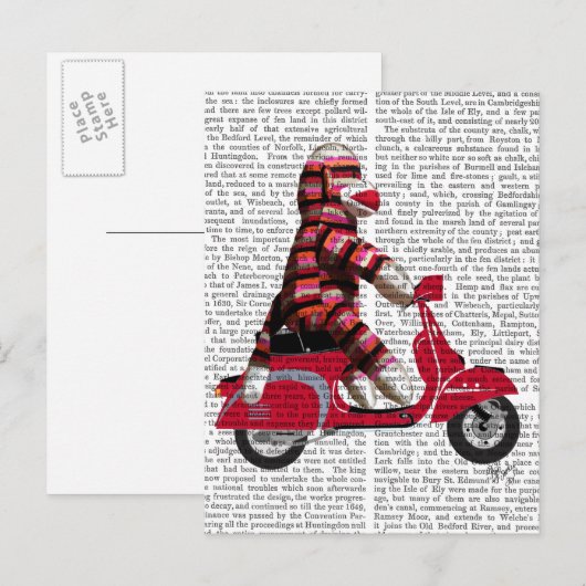 Sock Monkey op brommer Briefkaart (Voorkant / Achterkant)