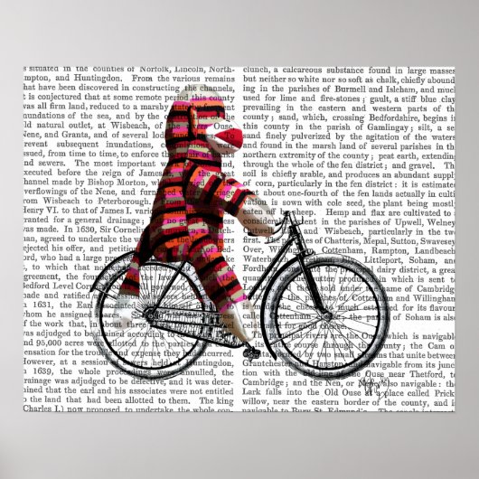 Sock Monkey op fiets Poster (Voorkant)