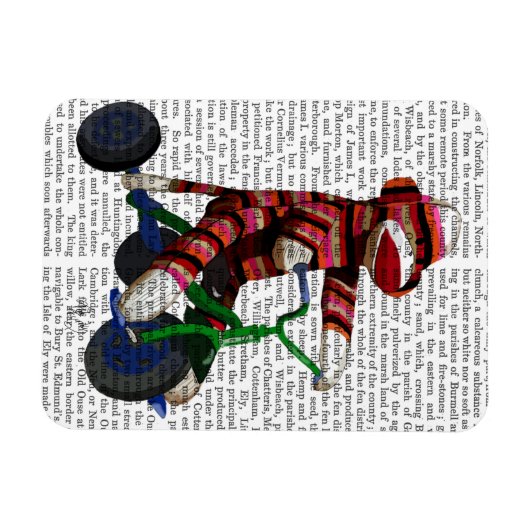Sock Monkey op Tricycle Magneet (Horizontaal)